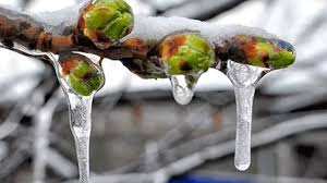 Read more about the article Yer yer don bekleniyor