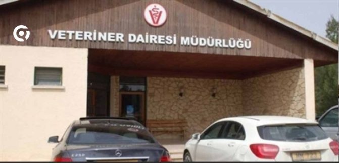 You are currently viewing Veteriner Dairesi, Bayram öncesi denetimlerin artırıldığını duyurdu